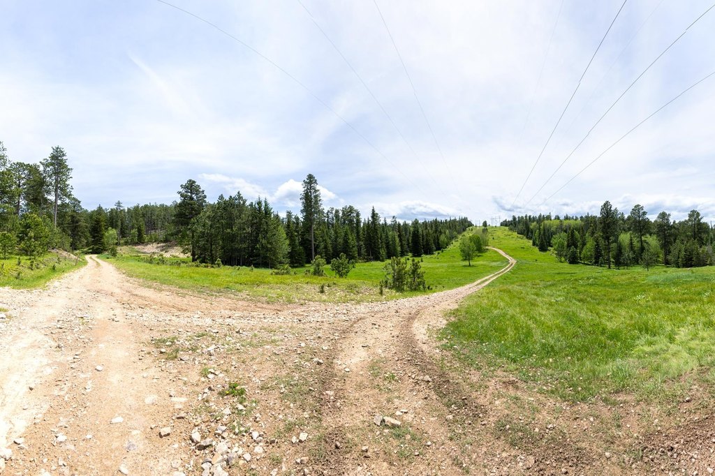 Picture 20
