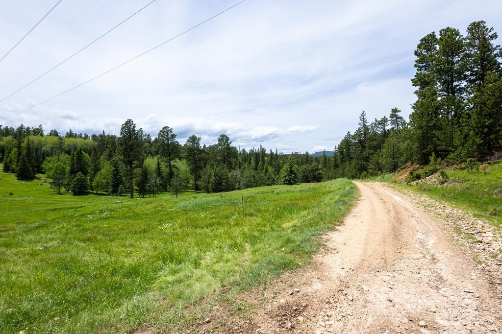 Picture 19