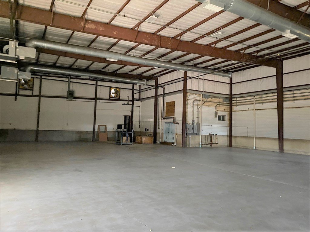 Picture 5