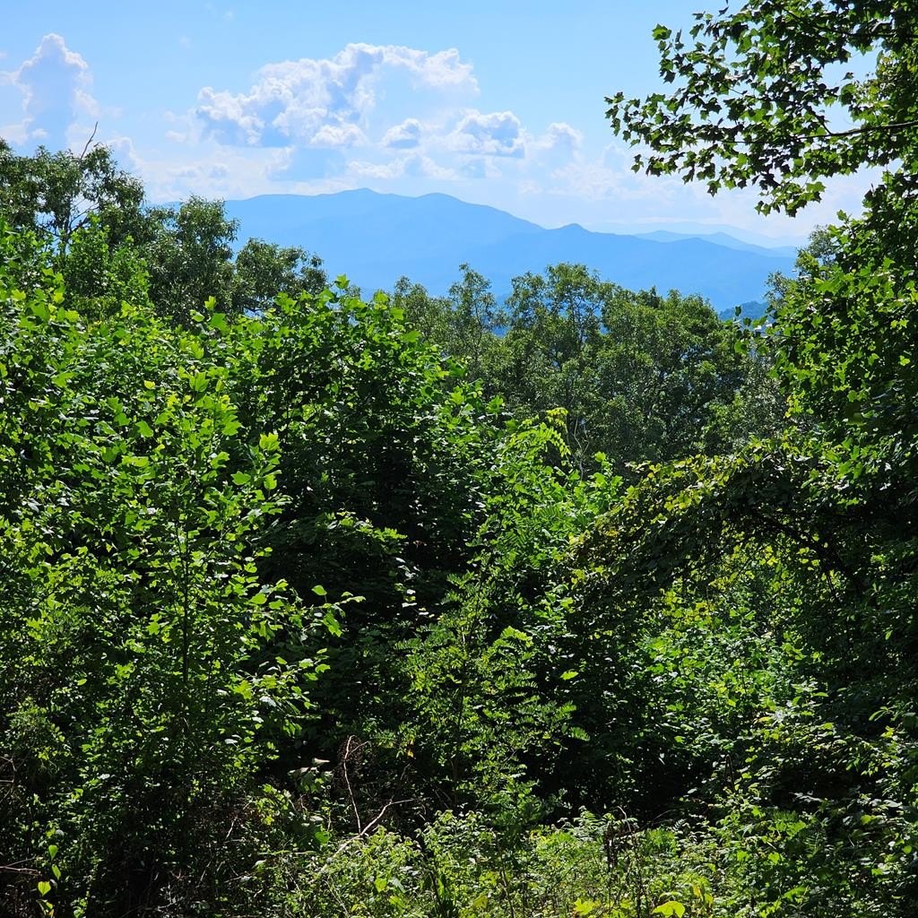 Land with Mountain Views