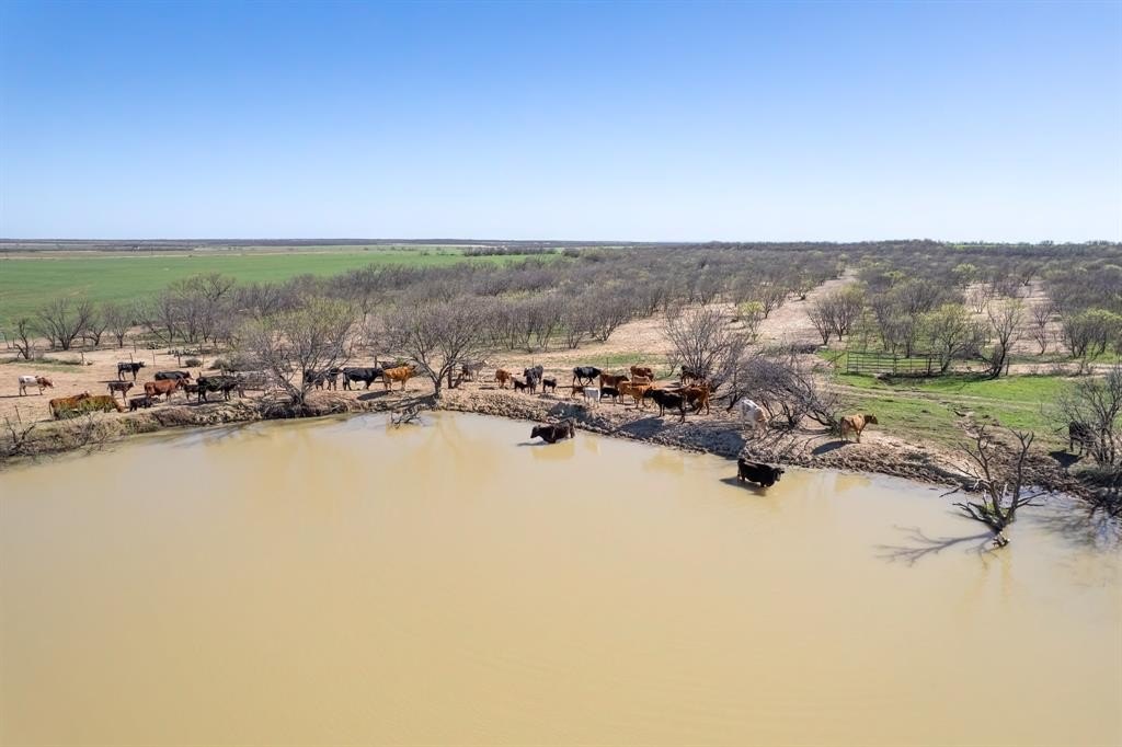Coleman County Ranch with Farmland