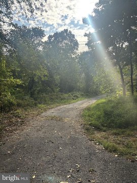 Buildable Lot with Creek Access