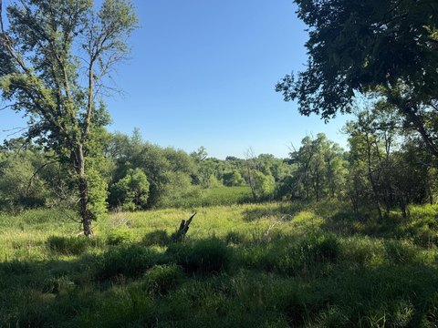 LAND - Glenwood, MN