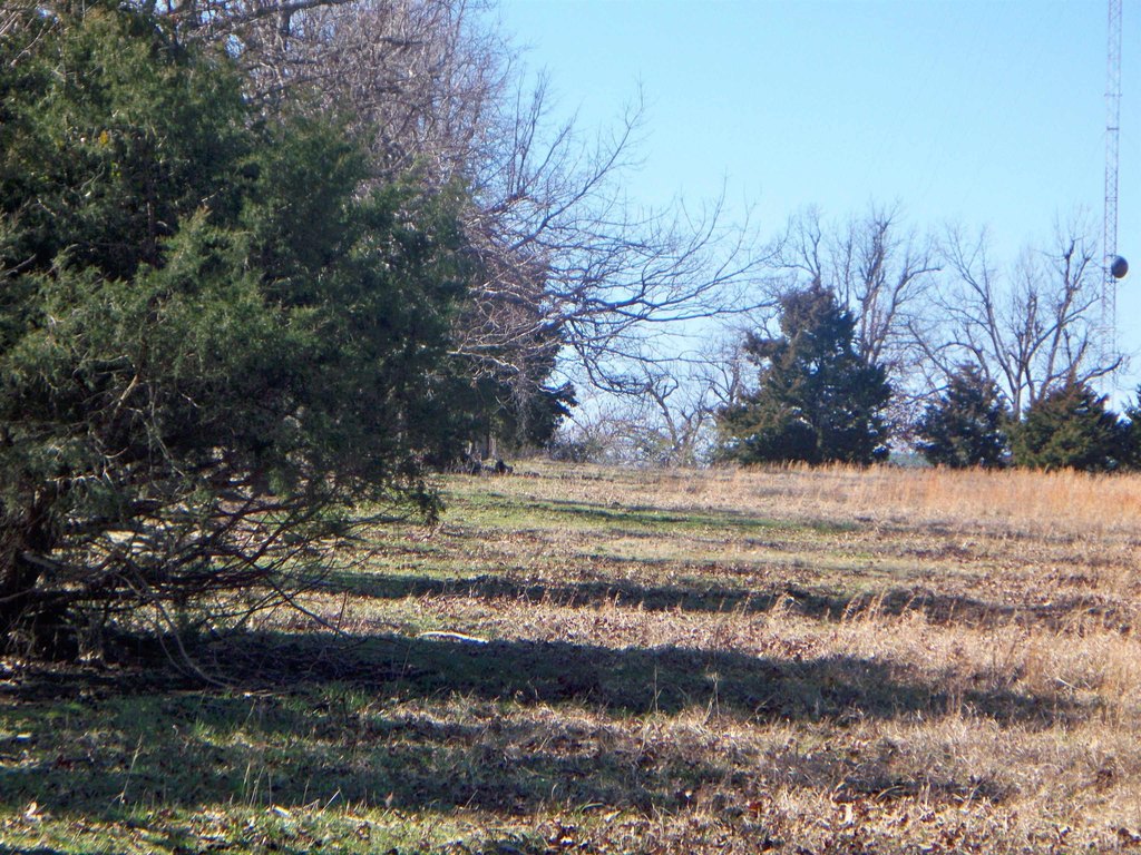 Picture 3