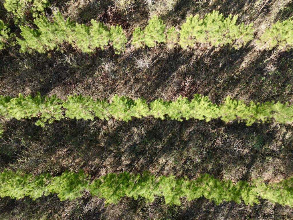 Picture 10