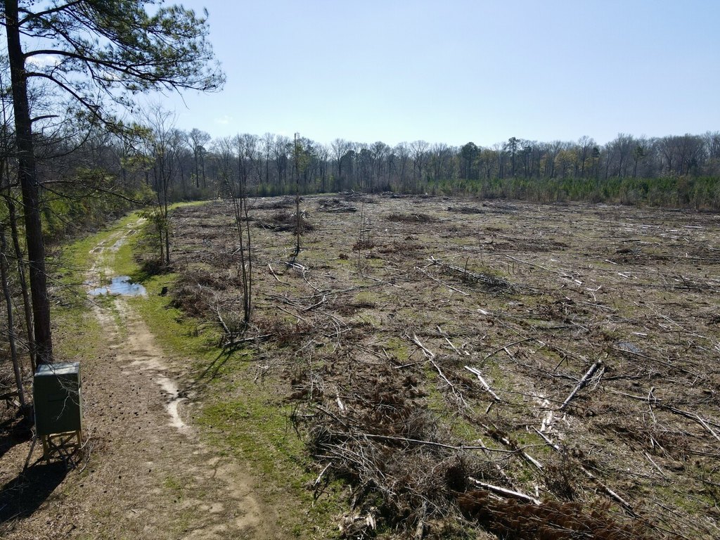 Picture 22