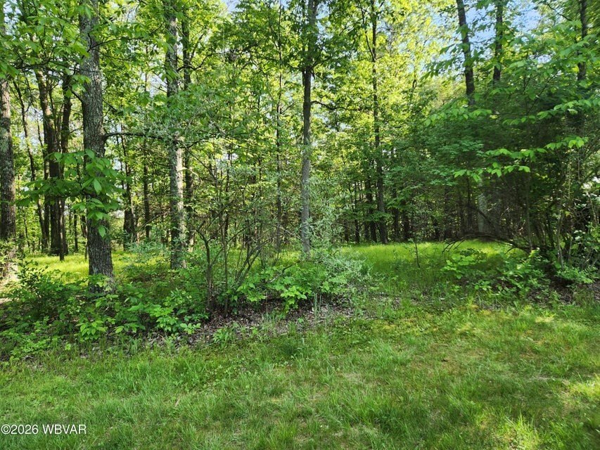 Picture 6