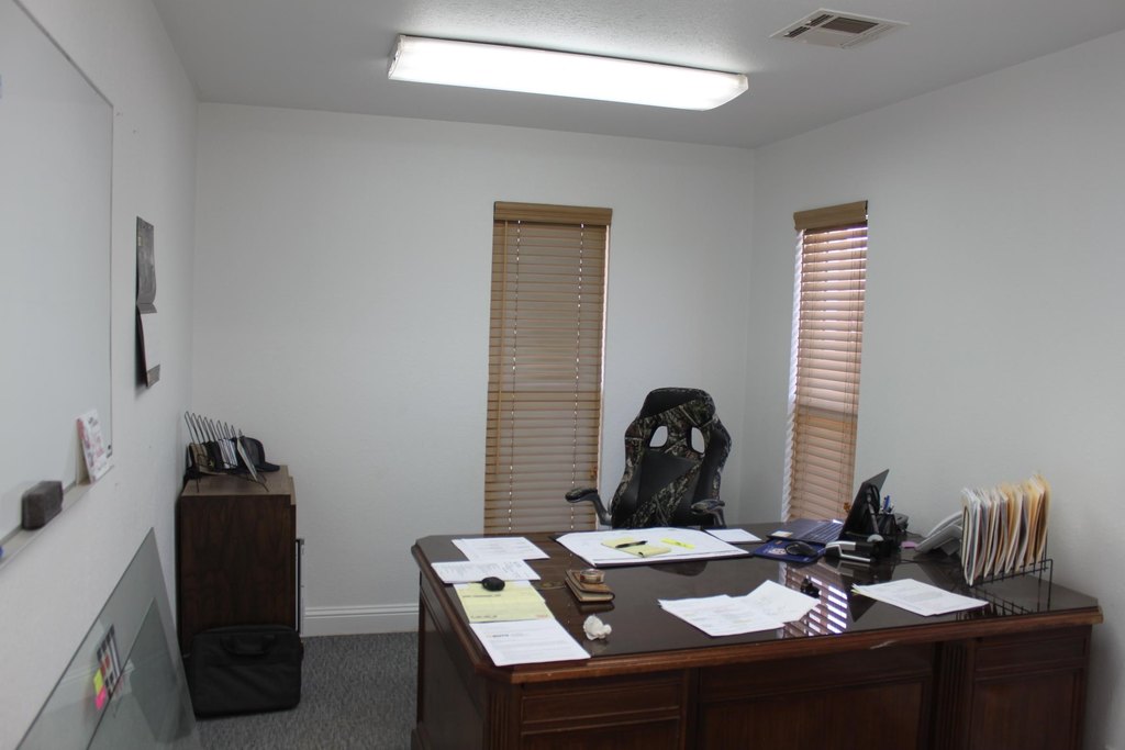 Picture 13