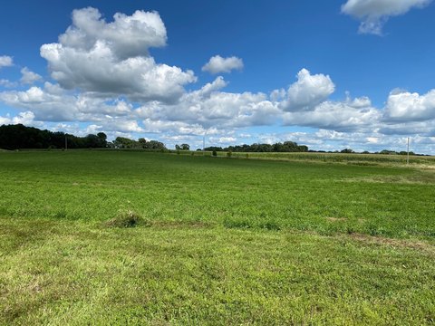 Residential Lot Near Alexandria, MN