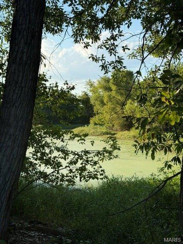 Picture 4