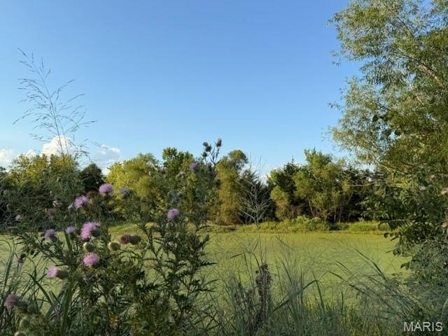 Picture 7