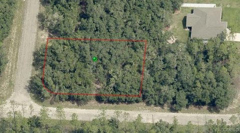 Land, Citrus Springs, FL