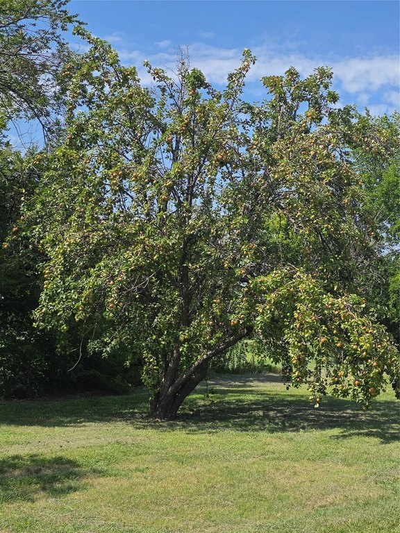 Picture 6