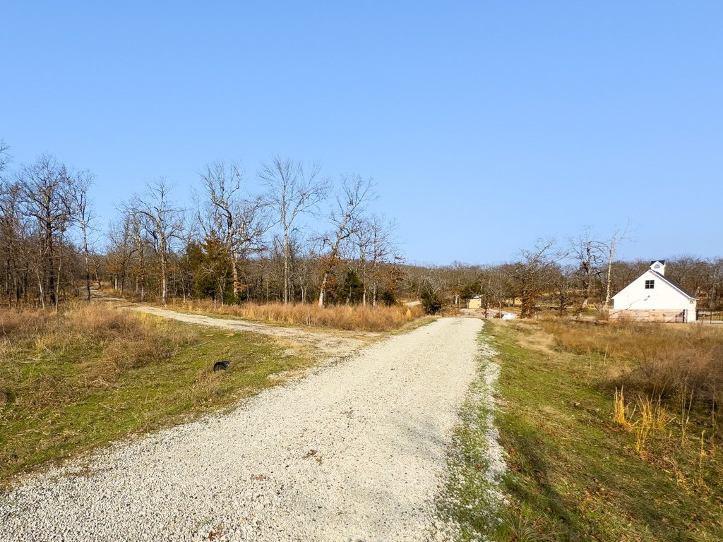 Picture 21