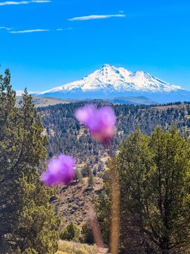 LAND - Montague, CA