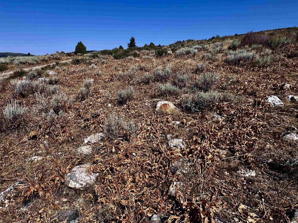 Picture 25