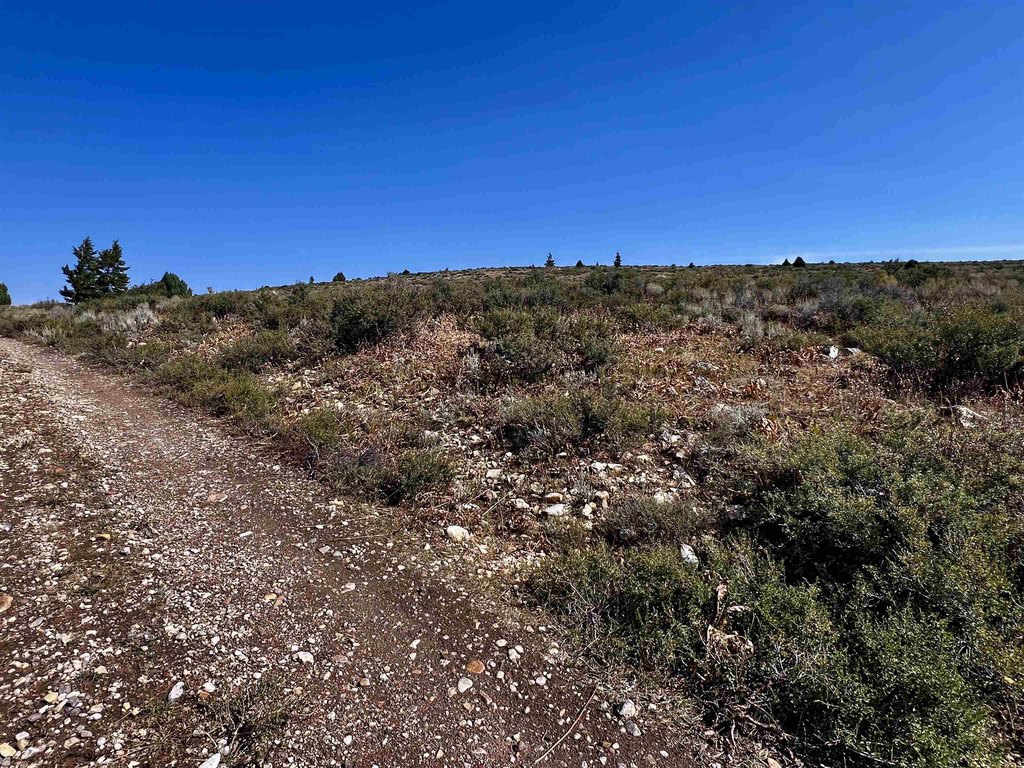 Picture 30