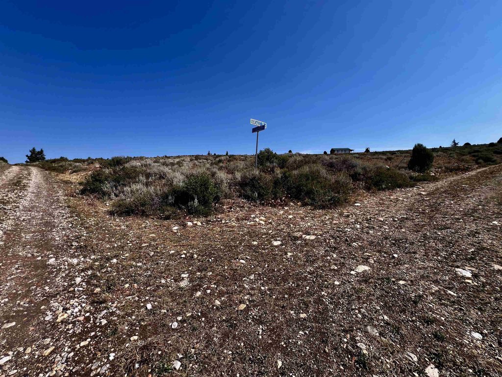 Picture 29