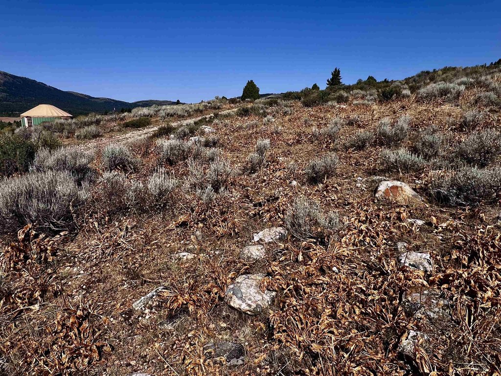 Picture 24