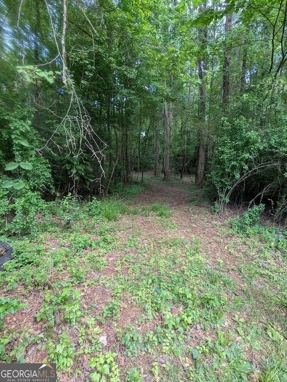 Picture 12