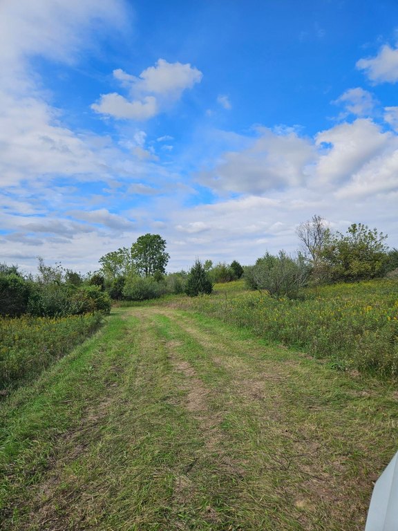 Picture 20
