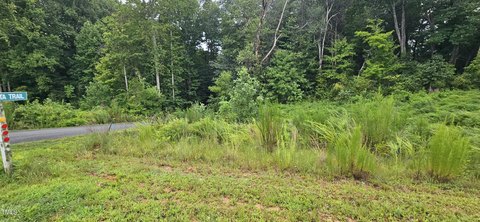 Forsyth County Land Auction Opportunity