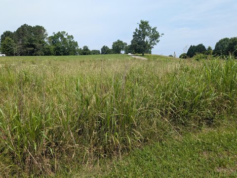 Cleared Lot with Mountain View