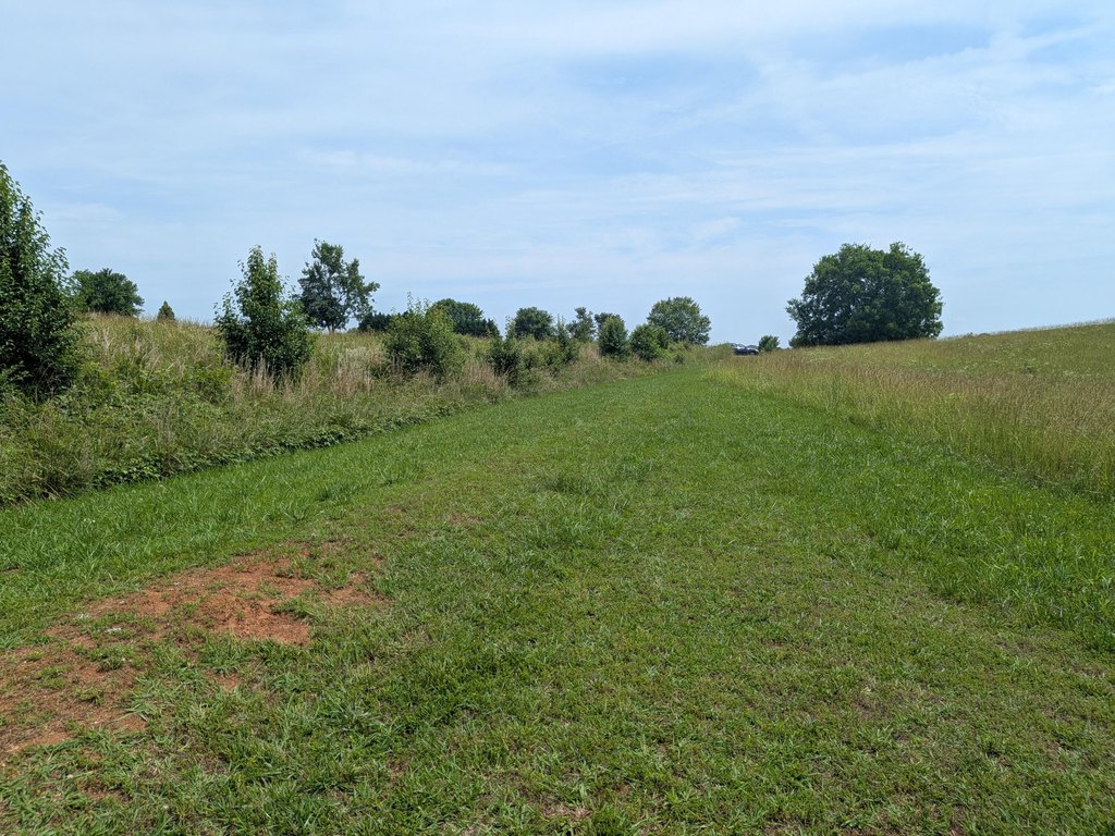 Picture 8