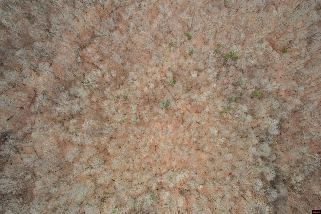 Picture 38
