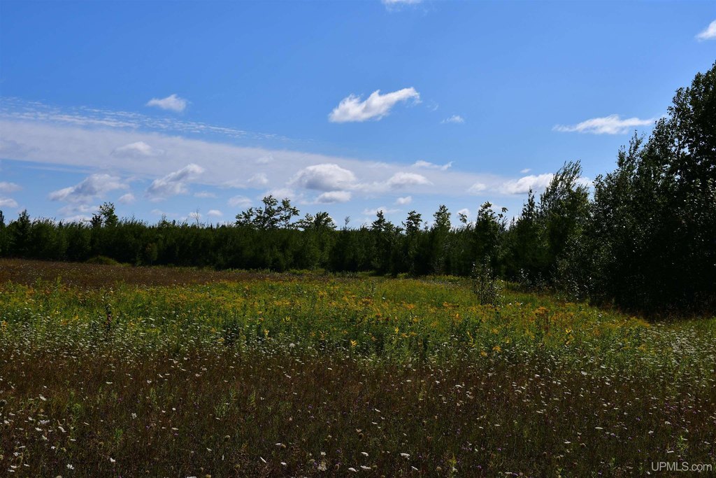 Picture 9