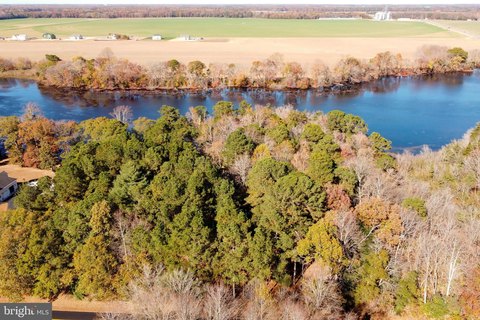 LAND - ELLENDALE, DE