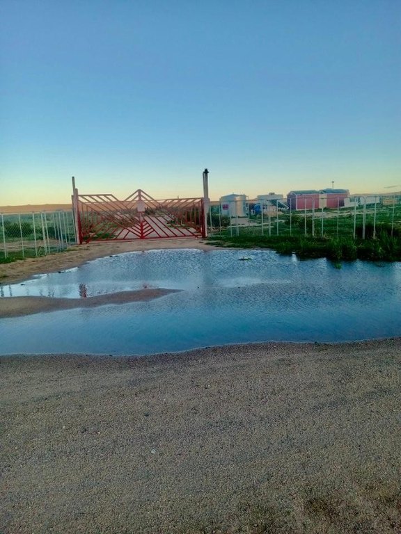 Picture 2