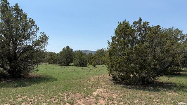 Picture 10