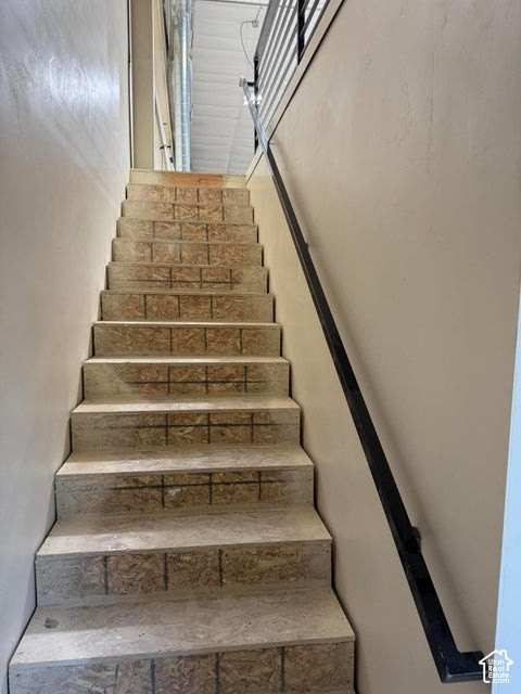 Picture 14