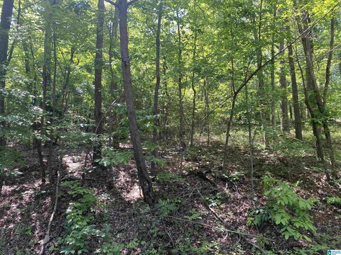 Land Near Lake in Brookwood