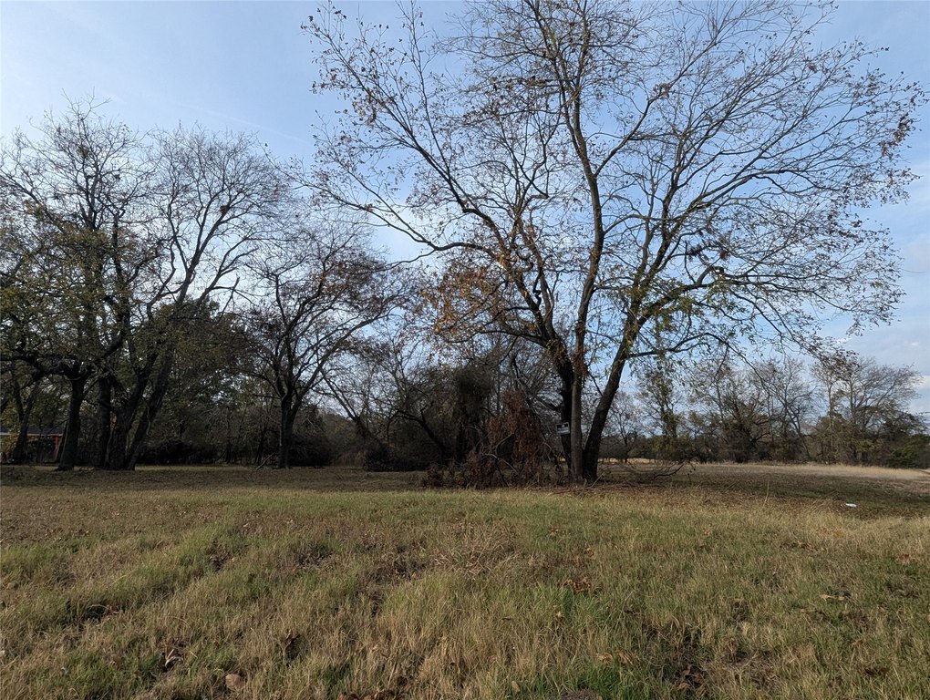 Picture 5