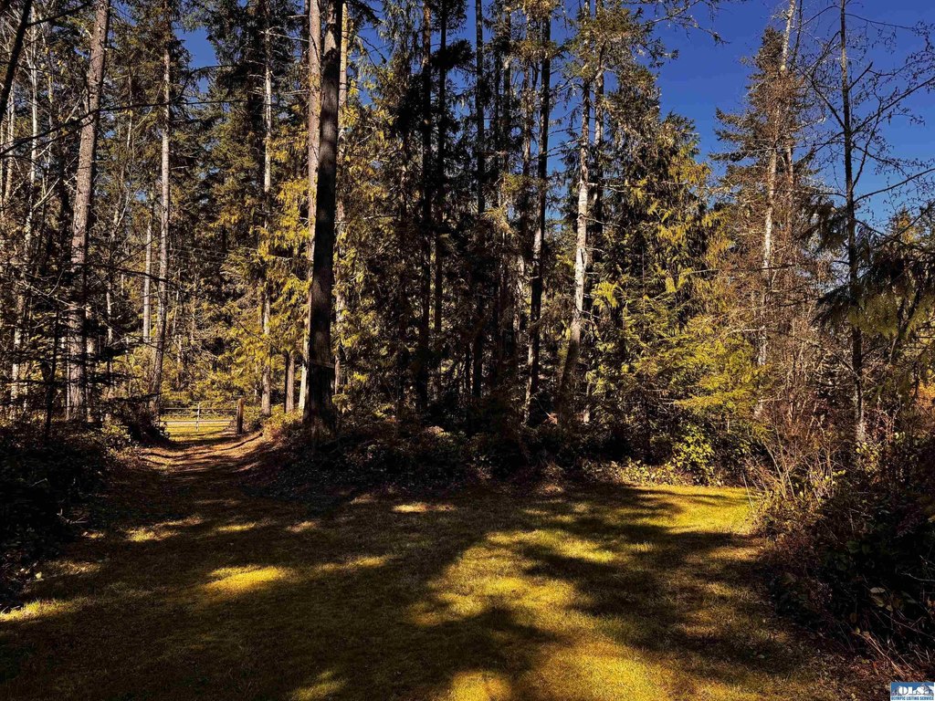 Picture 25