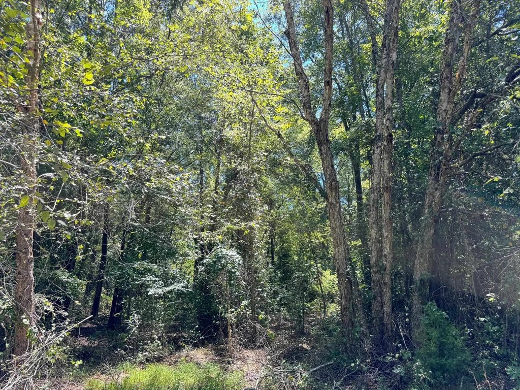 Picture 19