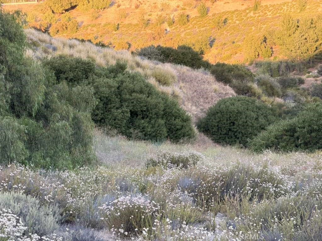 Picture 27