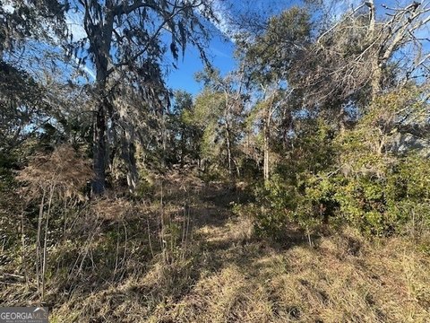 LAND - Waverly, GA