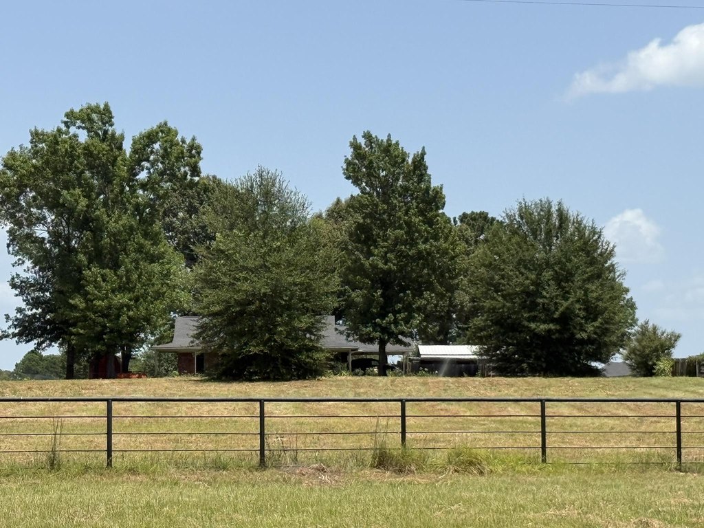 Picture 18