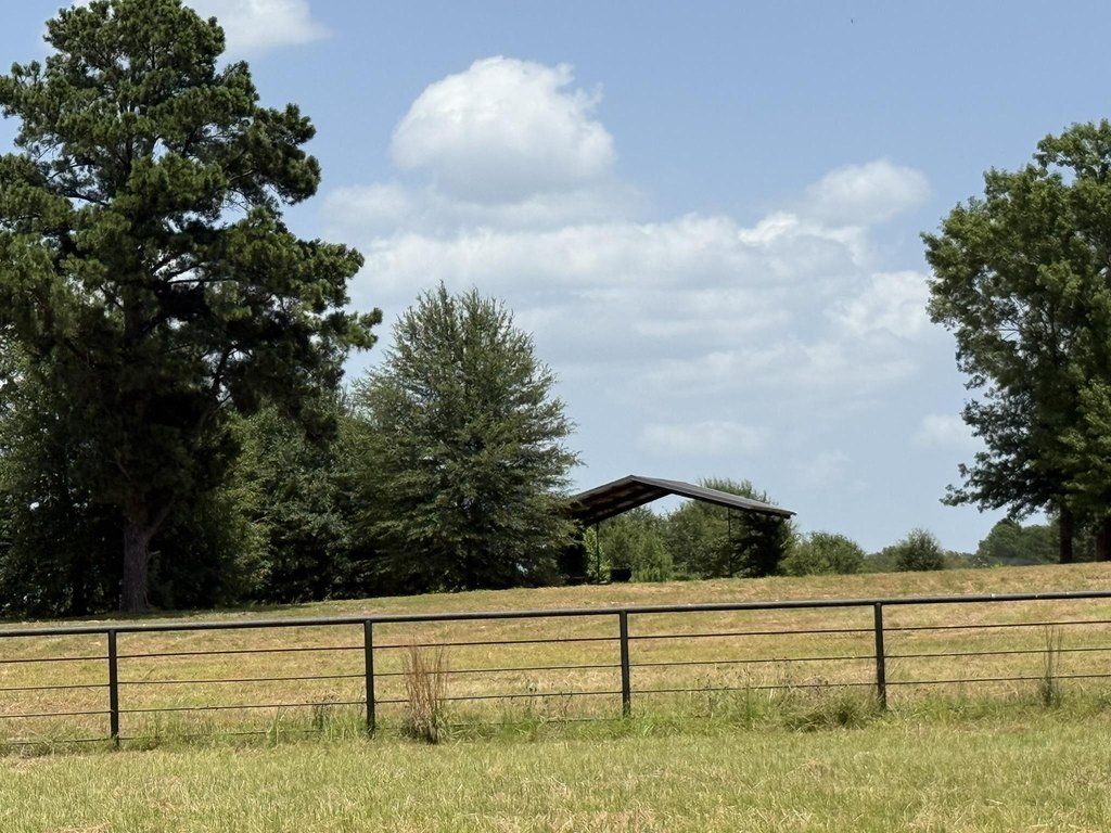 Picture 17