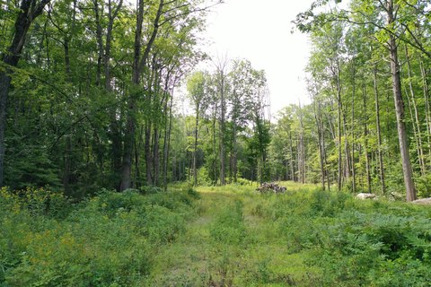 Land, Shapleigh, ME