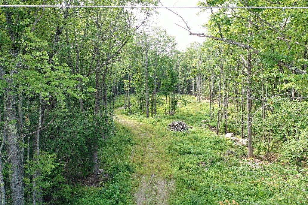 Picture 3