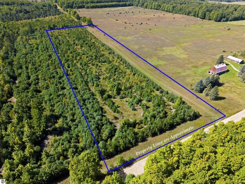 Vacant Lot/Land, Fife Lake, MI