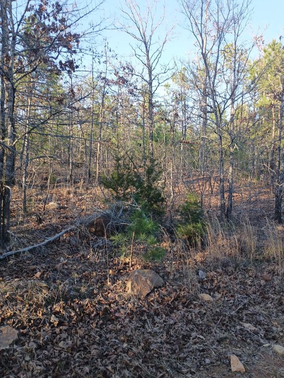 Picture 4