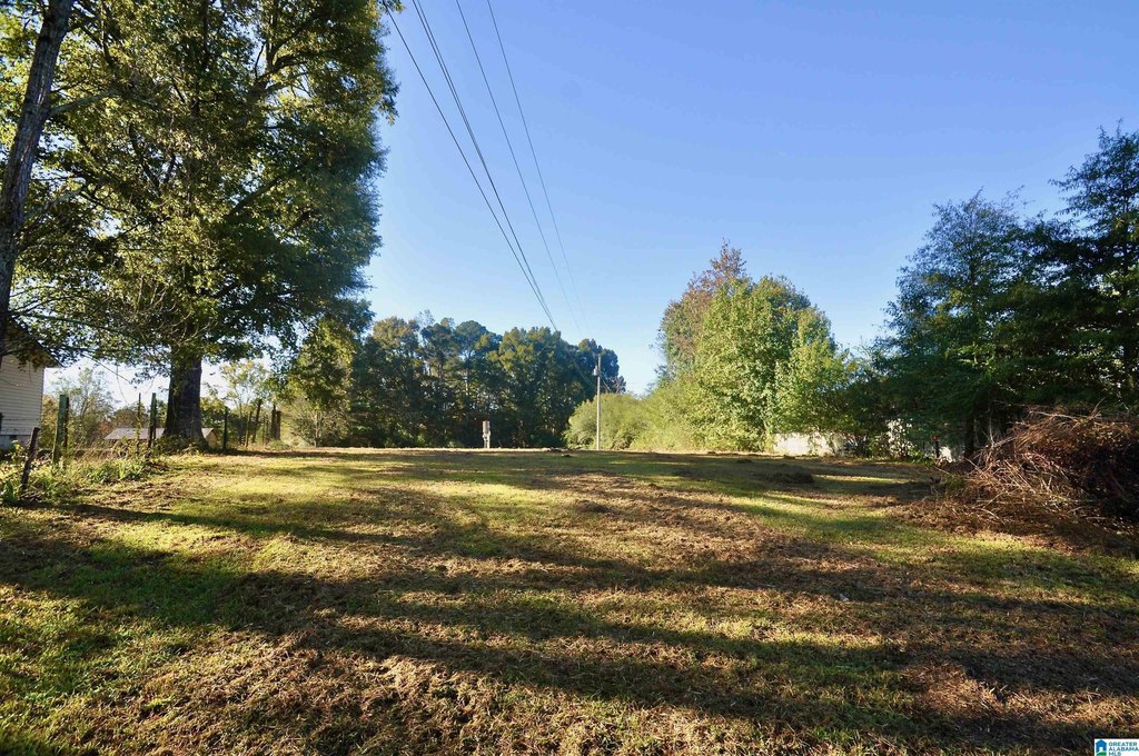 Picture 10