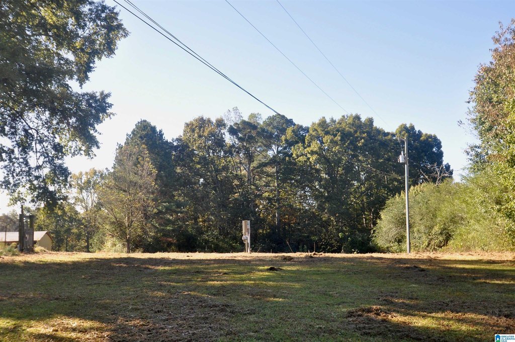 Picture 15