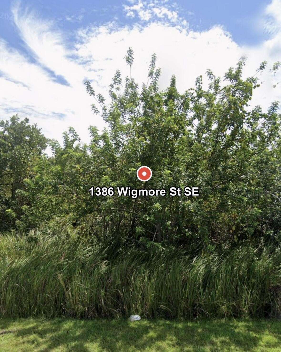 Residential Land in Palm Bay