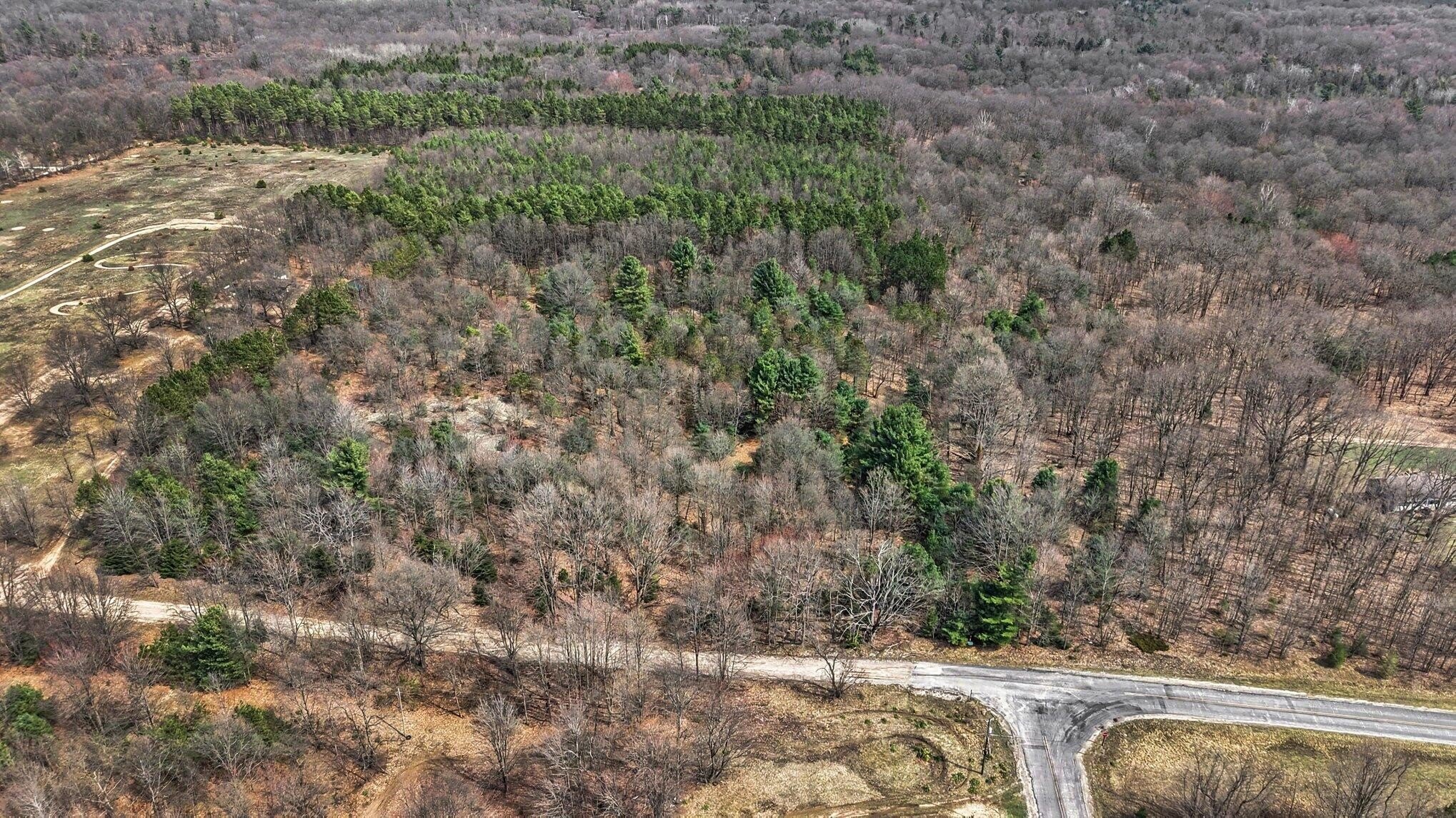 Land in Golden Township